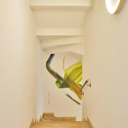 Narcissus House