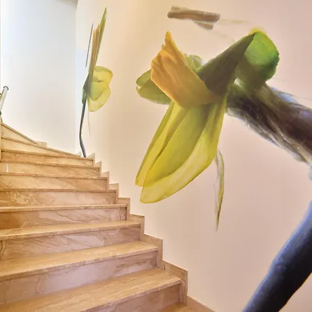 Narcissus House Dom wakacyjny *